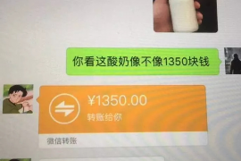 正阳融资清欠服务